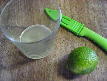 POLLO ESPECIADO CON CALABAZA