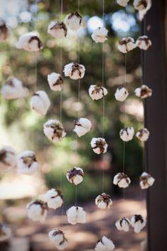 En las bodas de otoño, flores de algodón
