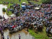 Galería fotos Romería Gálvez fotografía