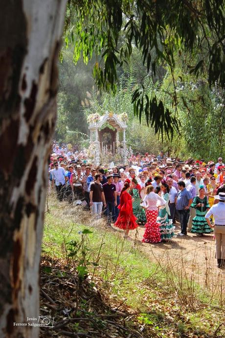 Galería fotográfica de la Romería de la Divina Pastora de Cantillana 2014