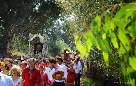 Galería fotográfica de la Romería de la Divina Pastora de Cantillana 2014