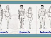 Tipos Cuerpo