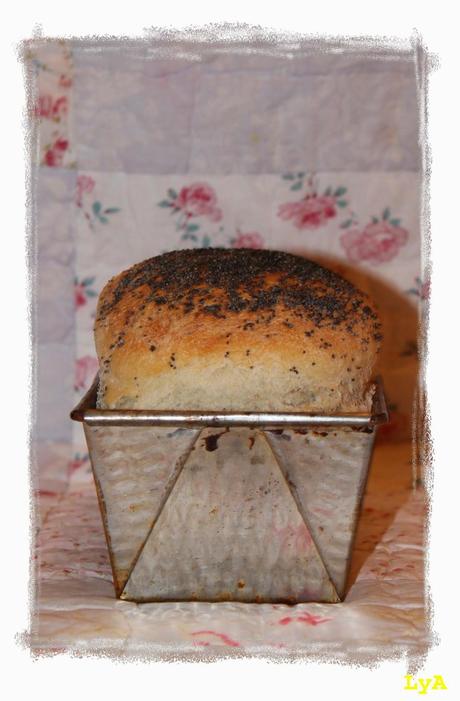 Deli bread & deli sandwich.. para el reto de Bake the world