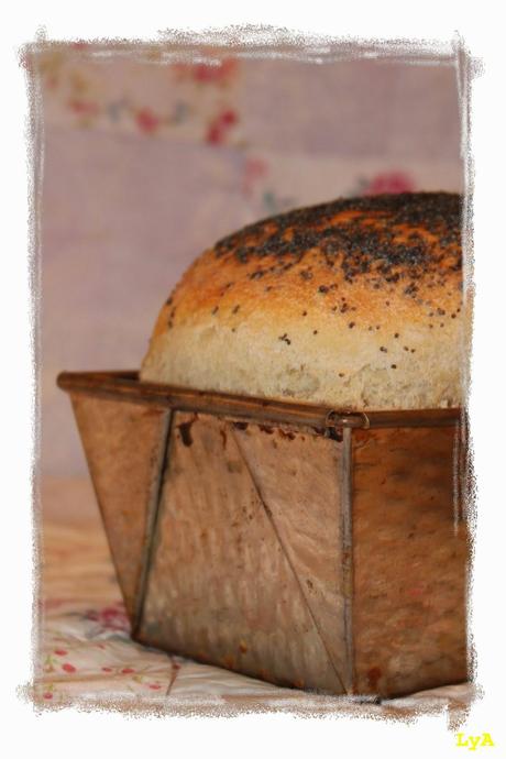 Deli bread & deli sandwich.. para el reto de Bake the world