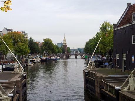 Qué ver en Amsterdam en 2 días? (II)