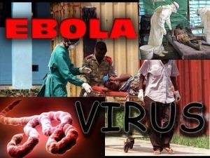 Virus del Ebola o la Fiebre Hemorrágica