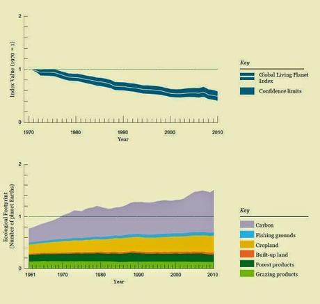 La fauna se ha reducido a la mitad desde 1970