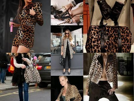 Must Have: Animal Print Must Have: Animal Print