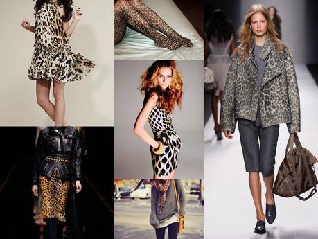 Must Have: Animal Print Must Have: Animal Print