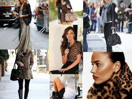 Must Have: Animal Print Must Have: Animal Print