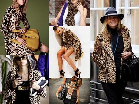 Must Have: Animal Print Must Have: Animal Print