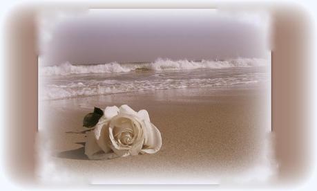 CERRADO TEMPORALMENTE