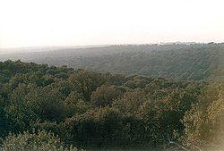 Economía en la Sociedad Carpetana