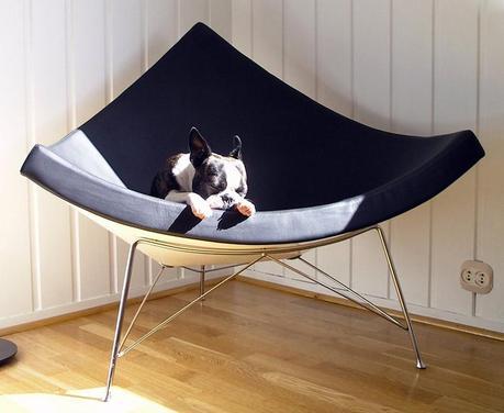 Octubre: Coconut chair