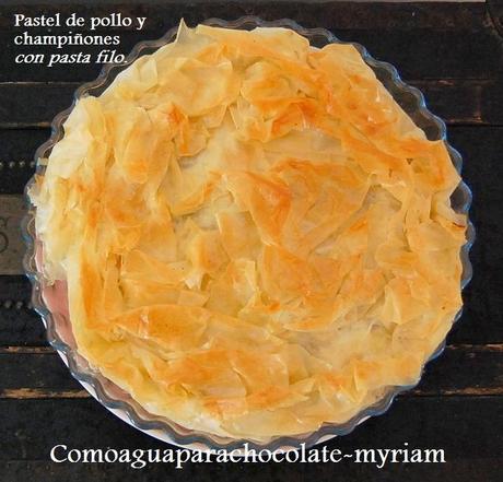 PASTEL DE  POLLO Y  CHAMPIÑONES CON PASTA FILO.