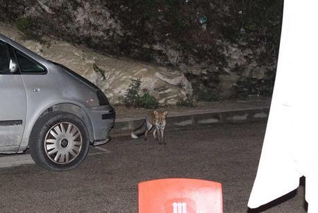 Evento blogger en el Hotel El Capricho de la Portuguesa hotelcaprichodelaportuguesa (23)