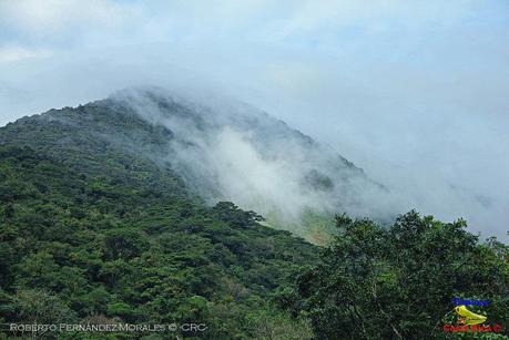 Frog's Heaven -Aves-  -Horquetas de Sarapiquí, Heredia-