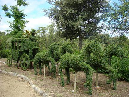 El Bosque Encantado