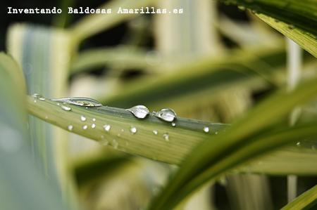 Los colores del Otoño: el jardín Botánico de Gijón