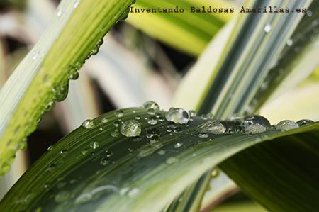 Los colores del Otoño - Paperblog