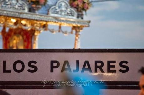 Galería fotográfica de la Romería de la Divina Pastora de Cantillana 2014 (II)