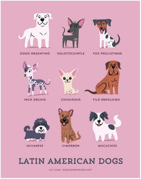Conoce el origen geográfico de las razas de perros, incluidos los de América Latina y España latin-american-dogs