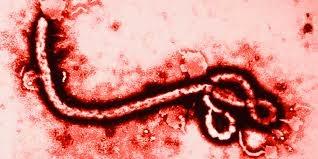 Se Confirma el Primer Caso de Ebola en America