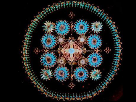 Arreglo de diatomeas de Klaus Kemp