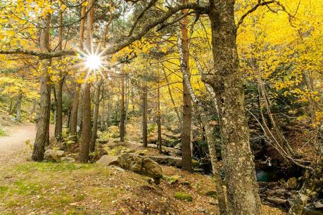 Lugares con encanto en otoño