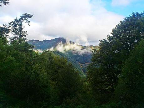 Parque Natural de Fuentes del Narcea, Degaña e Ibias