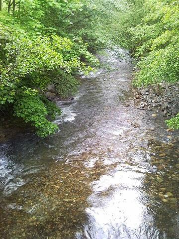 Río Narcea en el concejo de Cangas del Narcea