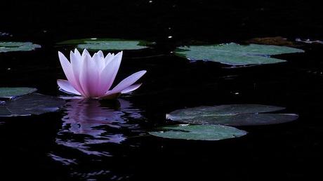 Lo peor de la soledad es la desconexión