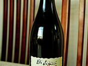 Simčič Triton 2007