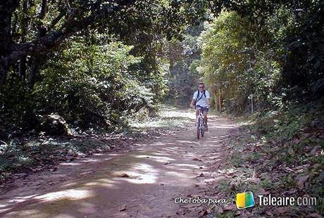 Ilha_Grande_Brasil_Ciclismo