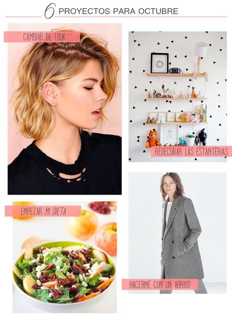 6 proyectos para octubre