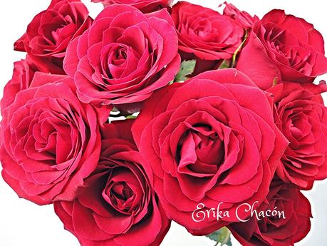 Rosas frescas y un buen Café