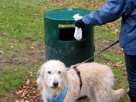 servicios más extraños que puedes contratar. 