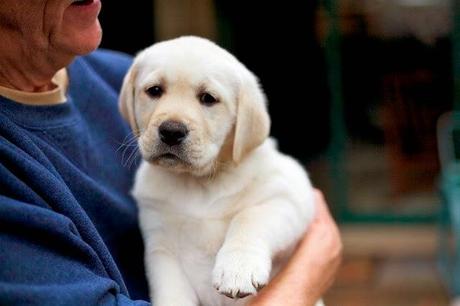 servicios más extraños que puedes contratar. 