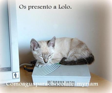 OS PRESENTO A LOLO Y SU PASTELITO GATUNO.