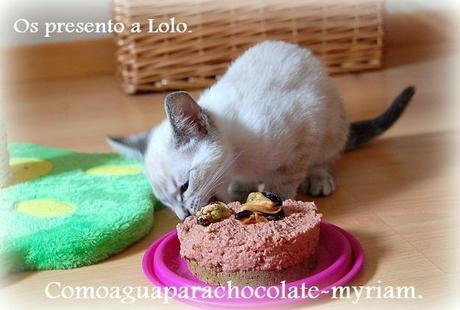 OS PRESENTO A LOLO Y SU PASTELITO GATUNO.