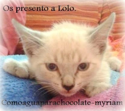 OS PRESENTO A LOLO Y SU PASTELITO GATUNO.