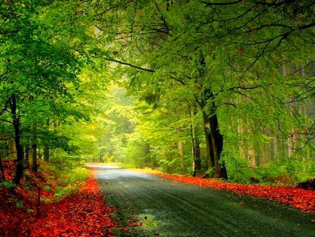 Reflexiones: una vida no basta.