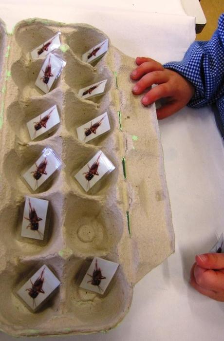 Situaciones para el aprendizaje de la enumeración en el aula de 3 años