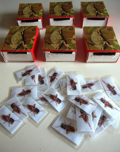 Situaciones para el aprendizaje de la enumeración en el aula de 3 años