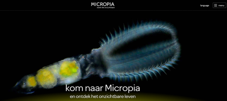 Micriopia. El Museo de lo invisible