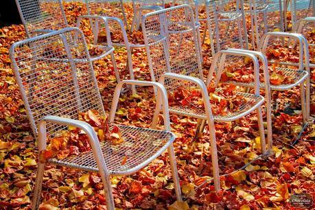 foto del otoño sillas foto del otoño sillas