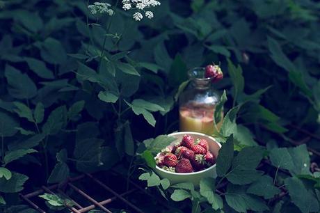 Kinfolk_Light-Summer-Meals_Web-191