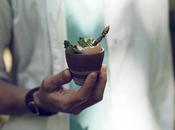 placer buen desayuno