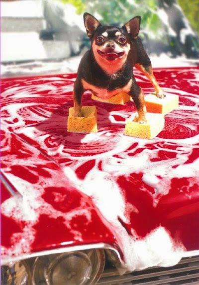 San Viernes repartiendo tareas