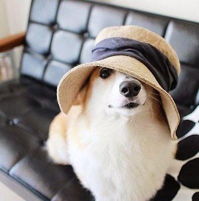 San Viernes repartiendo tareas